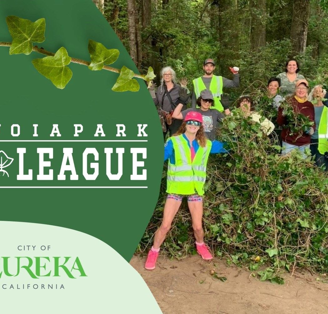 Sequoia Park Ivy League Volunteer Work Day 1